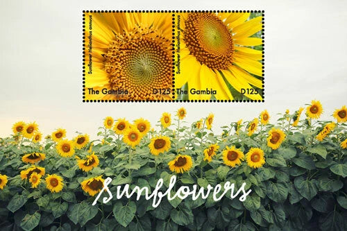 Gambia 2017 - Sunflowers - Souvenir Stamp Sheet - MNH Sunflower