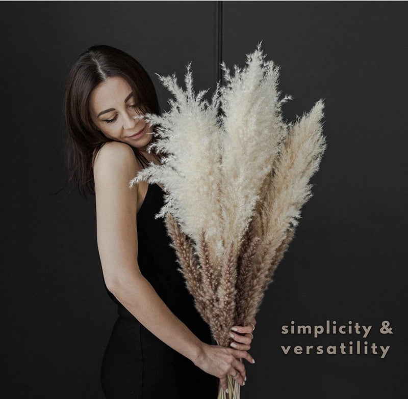pampas grass 15 Total Stems Pampas Grass