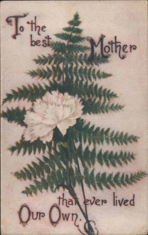 Vintage mother greeting card with green fern leaves and white carnation blooms