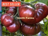 50+ Seeds Black Bison Tomato Easy Vegetable Garden Planting Edible Garden Plants