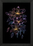 COLORFUL LILIES FLOWER Framed Wall Art Poster Canvas Print Picture Lily