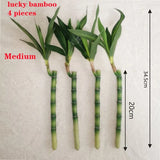 New 40Cm Rftificial Lucky Bamboo Succulent Fake Plant Flower Green Potted Garden Green Plant