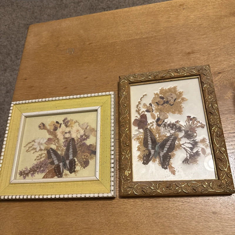 Pair of vintage framed dried floral art with butterflies and floral collage, gold and white frames