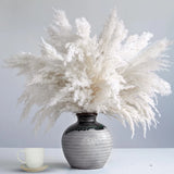 35-inch Tall White Pampas Grass Bouquet Decor - Boho 20-Tall White, Pampas Grass