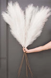 Premium Faux Pampas Grass Decor Tall 48Ó Ð Large Pack of 4 - Non-Shedding Pampas Grass