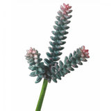 Frosted Spike Succulent Faux Plants And Trees Green Plant