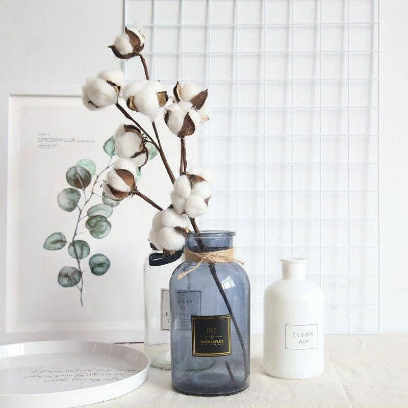 Dried cotton flower branch with white blooms and small green eucalyptus leaves in glass jar