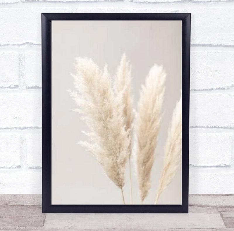Pampas Grass Grey 02 Botanical Studio Wall Art Print Pampas Grass