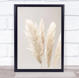 Pampas Grass Grey 02 Botanical Studio Wall Art Print Pampas Grass