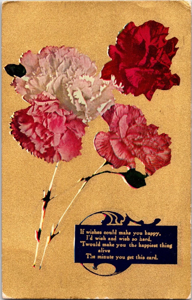 Postcard Carnation Flowers If Wishes Could Make You Happy... Early 1900's Carnation