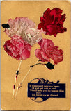 Postcard Carnation Flowers If Wishes Could Make You Happy... Early 1900's Carnation