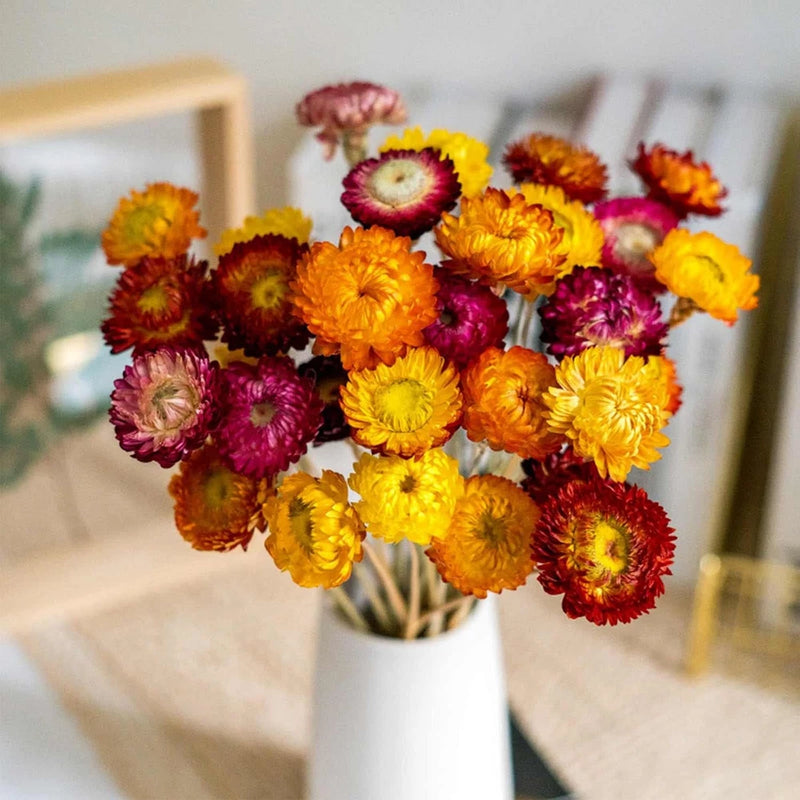 Natural Dried Daisy Flowers Bouquet - 20 Pcs Multicolor Daisies Dried Sunflowers Pampas Grass