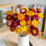 Natural Dried Daisy Flowers Bouquet - 20 Pcs Multicolor Daisies Dried Sunflowers Pampas Grass