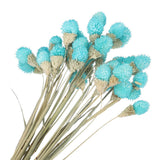 30 Pcs 16 Inch Dried Flowers for Vase Mini Pine Ball Flowers Sky Blue Dried Flower