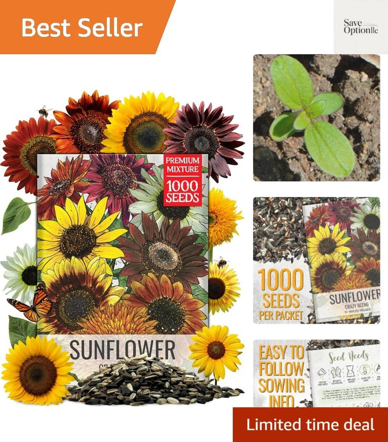 Sunflower Seeds for Planting The  Crazy Blend | 1 Ounce 15+ Heirloom Varietie... Sunflower