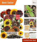 Sunflower Seeds for Planting The  Crazy Blend | 1 Ounce 15+ Heirloom Varietie... Sunflower