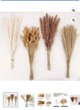 Sanmadrola Dried Pampas Grass Decor 100 PCS Home Decoration for Wedding Boho Pampas Grass