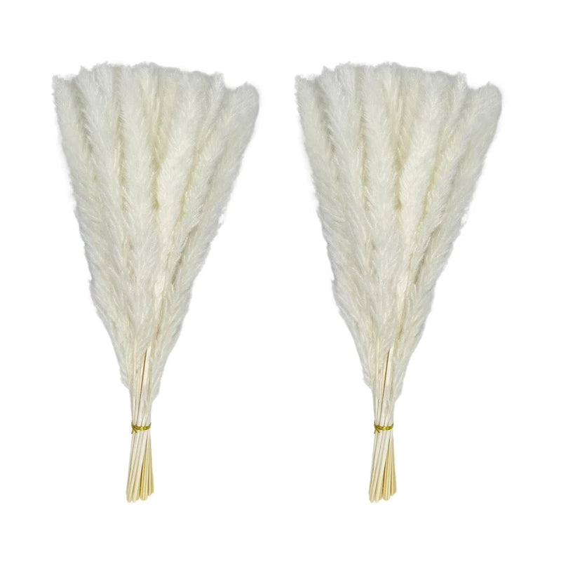 60 Stems Pampas Grass 17.5",Natural Dry Flowers Small Pampas Grass Branches f... Pampas Grass