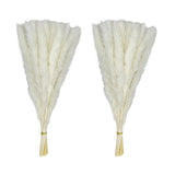 60 Stems Pampas Grass 17.5",Natural Dry Flowers Small Pampas Grass Branches f... Pampas Grass