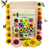 1000+ Sunflower Seeds for Planting Heirloom Non-Gmo, Bulk Package of 15 Varietie Sunflower