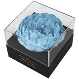 Kylin Glory Fresh Cut Flower Preserved Peony for Women Mom Wife Sky Blue Peony