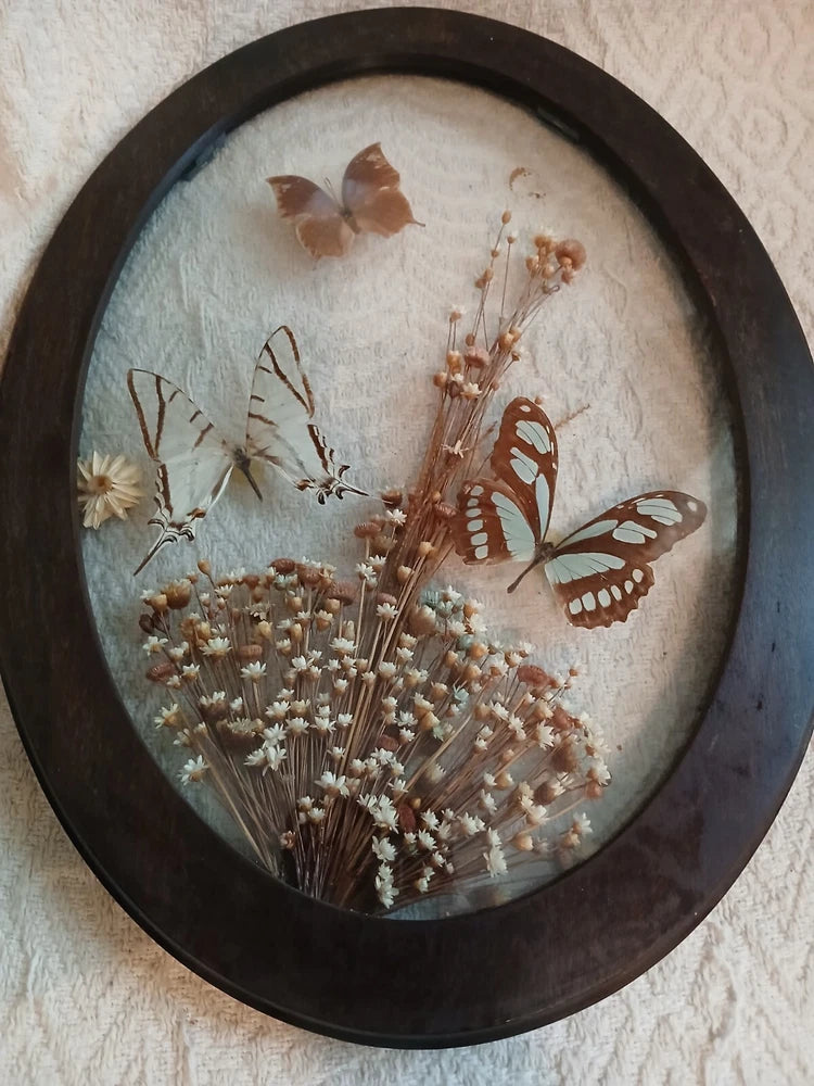 Dark wood framed dried flowers with brown butterflies wall art