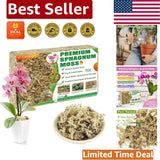 Natural Sphagnum Moss 7 oz - Ideal for Orchids, Succulents & Carnivorous Plants Orchids