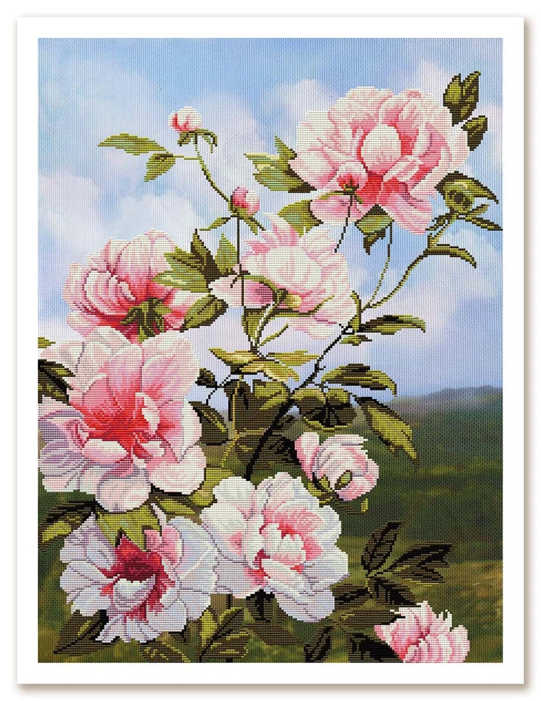 DIY Tinted canvas cross stitch kit Peonies Pink Flowers Craft Art Gift Peony
