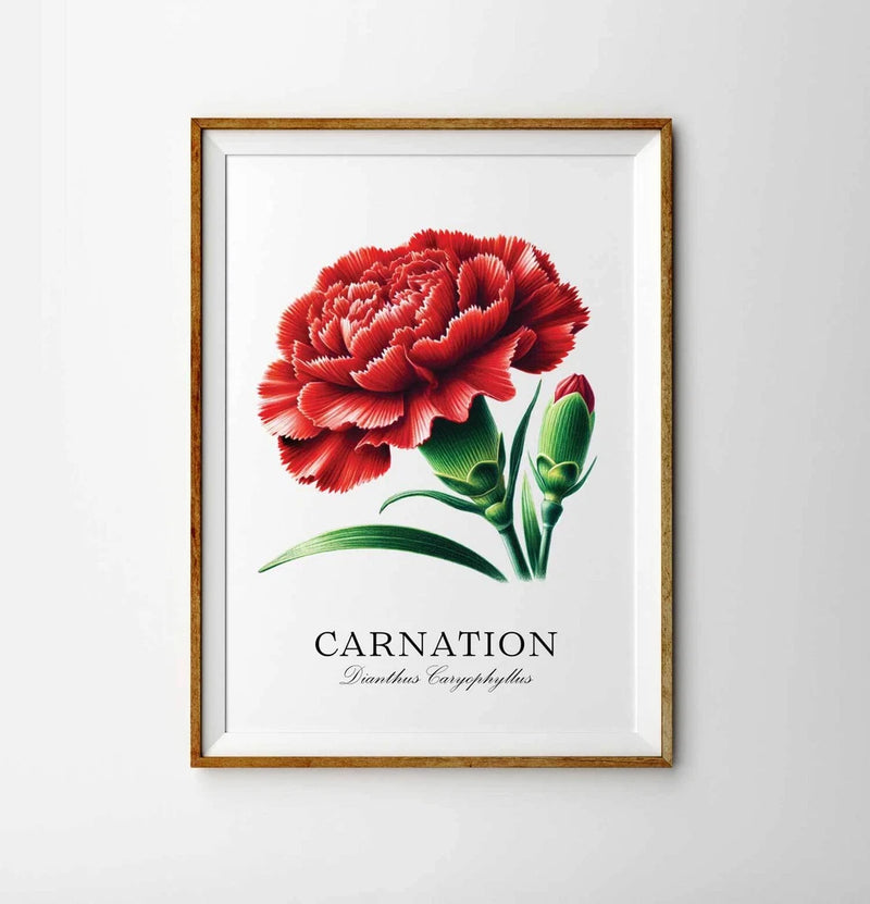 Framed carnation flower illustration print with red blooms, green leaves, and 'CARNATION' text