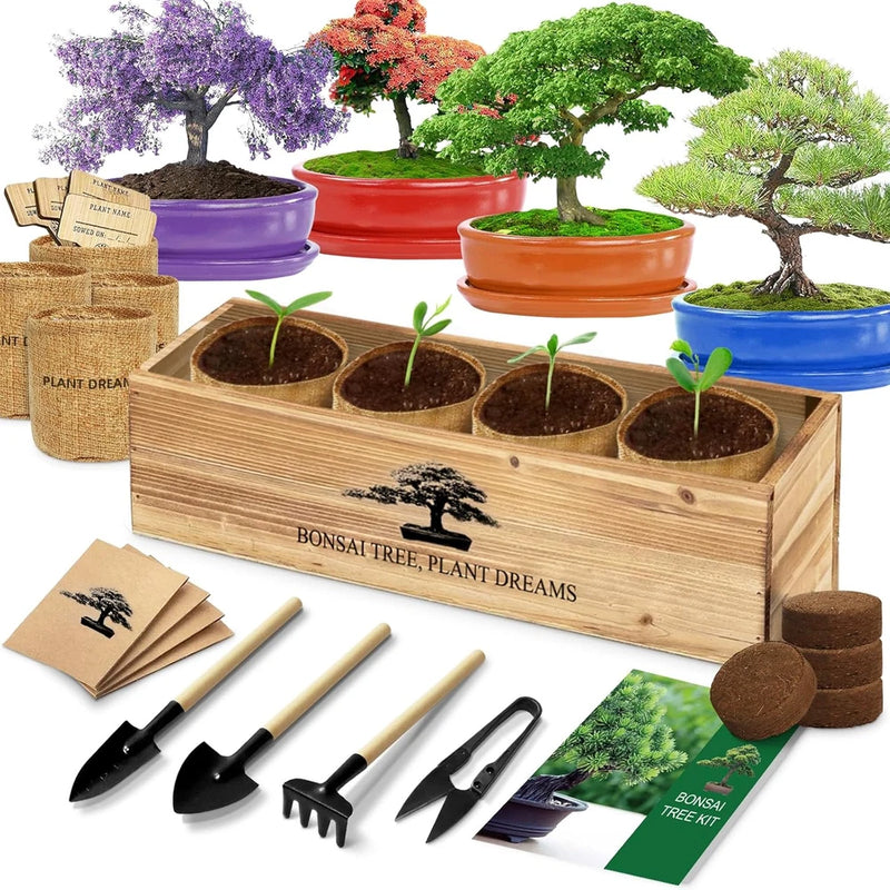 Bonsai Tree Starter Kit with Seeds and Tools for Indoor Gardening Gifts Garden Plants