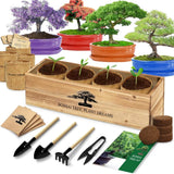 Bonsai Tree Starter Kit with Seeds and Tools for Indoor Gardening Gifts Garden Plants