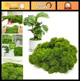"10.6oz Fake Green Moss for Indoor Plants & Crafts - Faux Decor for Fairy Garden Green Plant