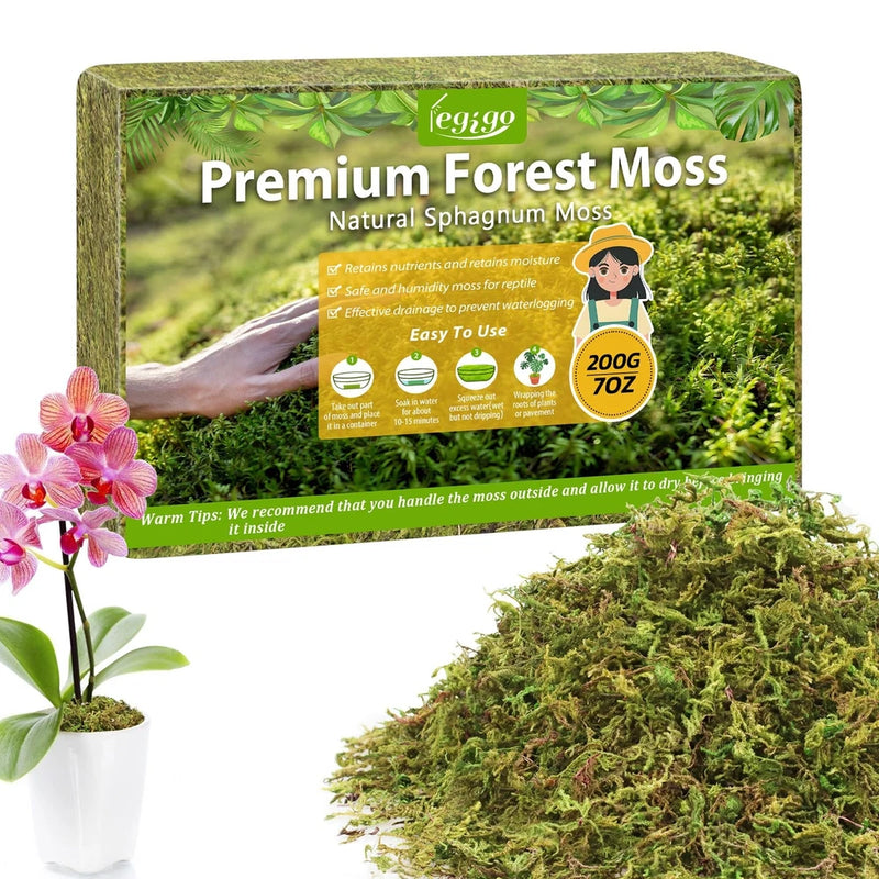 Natural green forest moss for plants in a retail pouch, textured moss strands
