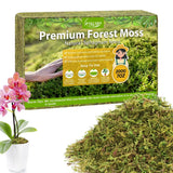 Legigo 7OZ Premium Forest Moss for Plants, 8 QT Natural Green 8 QT(Appx.7oz) Orchids