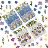 140 Pcs Dried Pressed Hydrangea Flowers for Crafts, Real Natural Blooms in Blue, Dried Flower