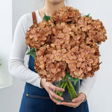 Silk Light Coffee Hydrangea Artificial Flowers with Stem, 6Pcs 20" Large Full... Hydrangea