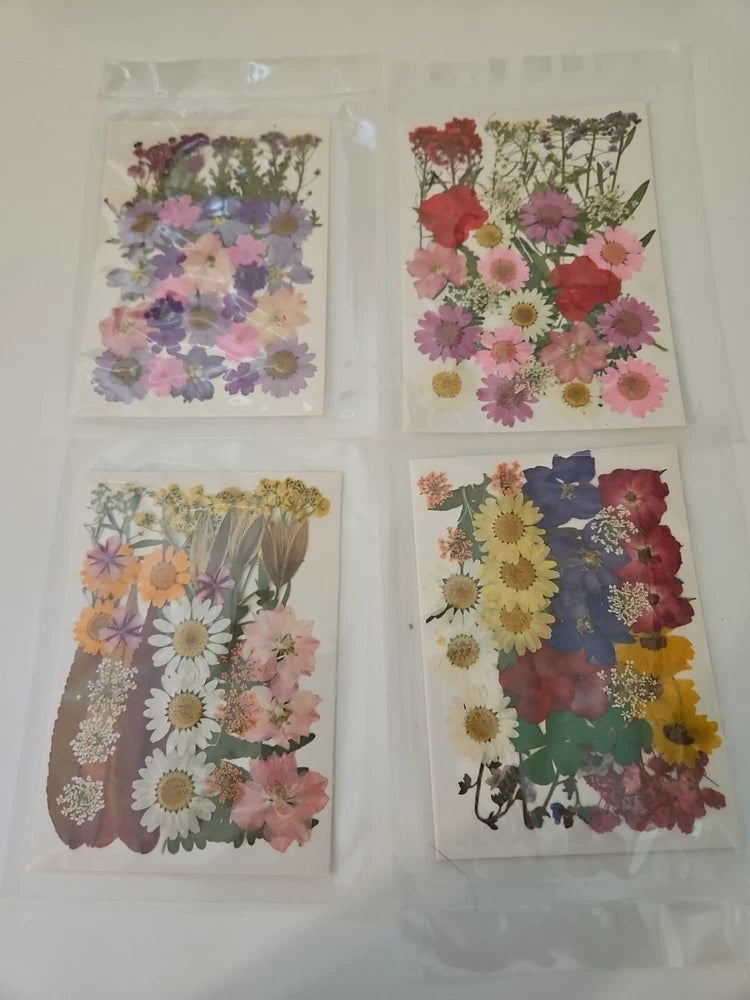 4 Natural Real Dried Pressed Flowers Handmade Flower Petals Candle Making Resin Dried Flower