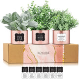 KOYAIRE 3 Motivational Faux Plants for Desk - Rose Gold Decor for Office - Sm... Green Plant