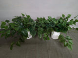 Lot of 2 - Threshold Realistic Faux Pothos Plants in Ceramic Pot Flowering Plants
