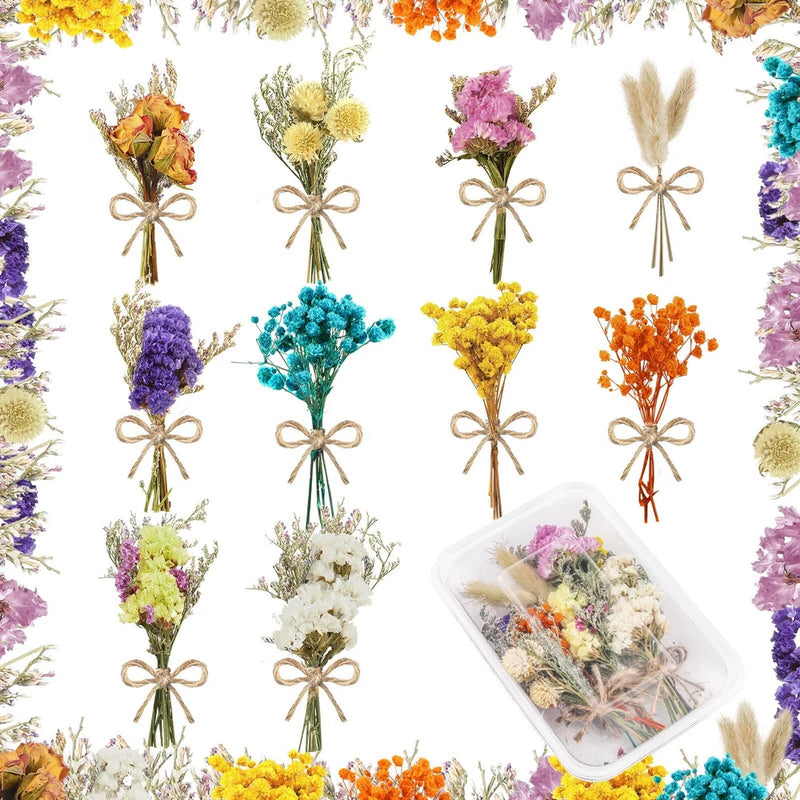 Set of 10 mini dried flower bouquets with twine, assorted colors, in clear box