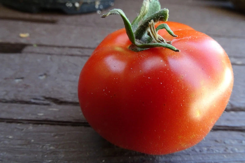 Corazon salad  tomato - a heart-shaped tomato you will fall in love with! Garden Plants