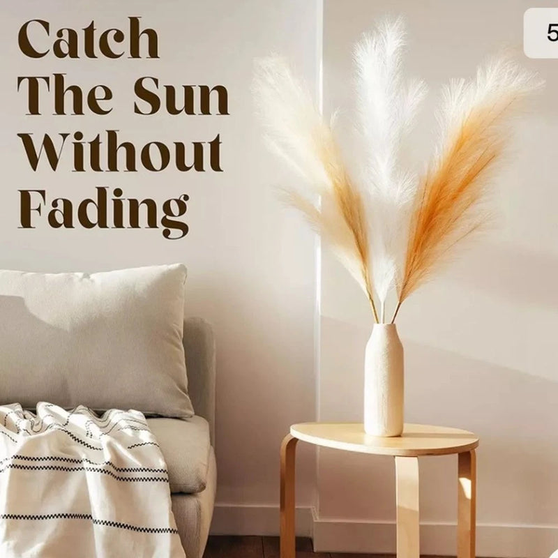 Home Pro Shop arts & crafts Pampas Grass.3Pcs. Pampas Grass
