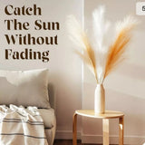 Home Pro Shop arts & crafts Pampas Grass.3Pcs. Pampas Grass