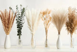 110 PCS Dried Pampas Grass Decor Naturally Dried Pompas Bunny Tails Dried Flo... Pampas Grass