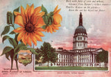 Vintage Postcard 1910's Sunflower State Flower of Kansas State Capital Topeka KS Sunflower