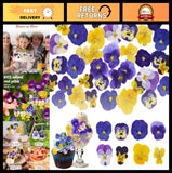 70 Pcs Natural Dried Edible Flowers - Cake Toppers, Cupcake Decor, DIY Crafts Dried Flower