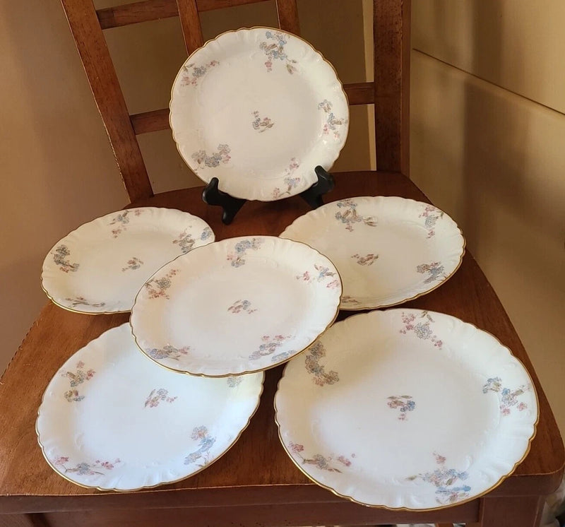 Set of six salad plates, white porcelain with pink and blue floral carnations, gold rim