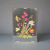 Vintage Pressed Flowers in Rimless Frame wall hanging art 4"_5.75" Dried Flower