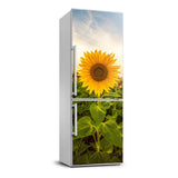 Magnet Sticker Refrigerator removable Peel & Stick Landscape Sunflower field Sunflower