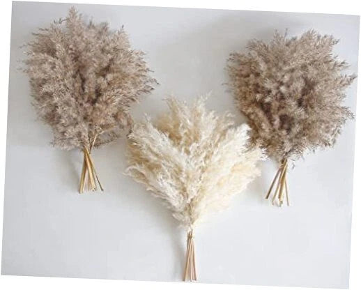 30 PCS Boho Decor, Fluffy Pompas Grass, Natural Dry Pampas Grass Small, Short Pampas Grass